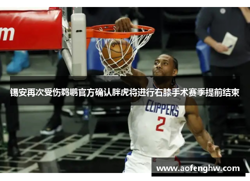 锡安再次受伤鹈鹕官方确认胖虎将进行右膝手术赛季提前结束
